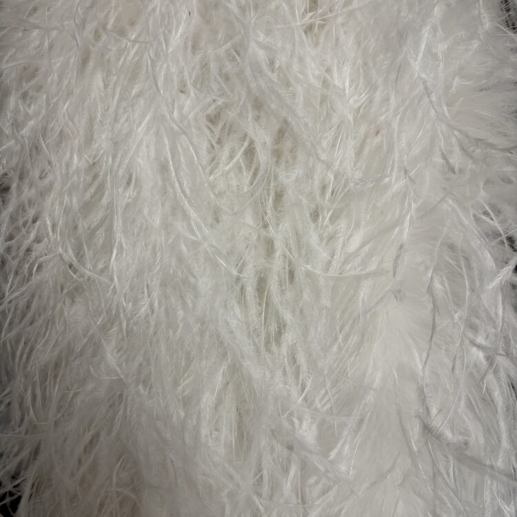 Ostrich Boa (5ply, 15/18cm) - White, 1m