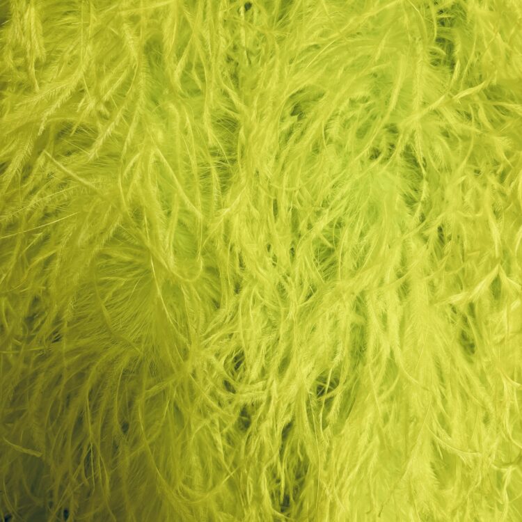 Ostrich Boa (5ply, 15/18cm) - Lime, 0.5m