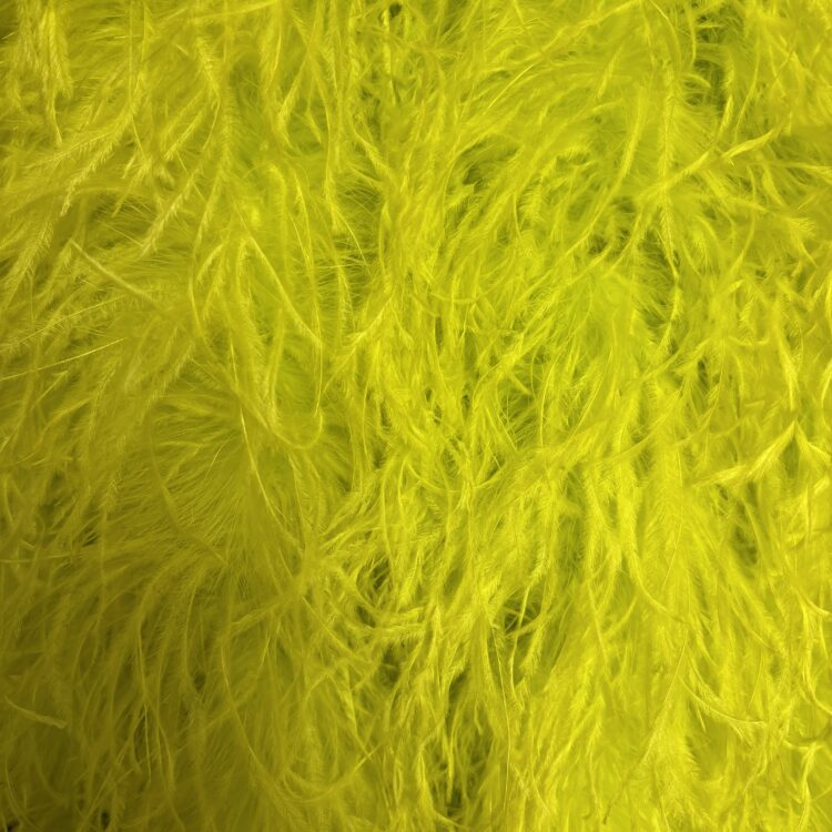 Ostrich Boa (5ply, 15/18cm) - Lime, 1m