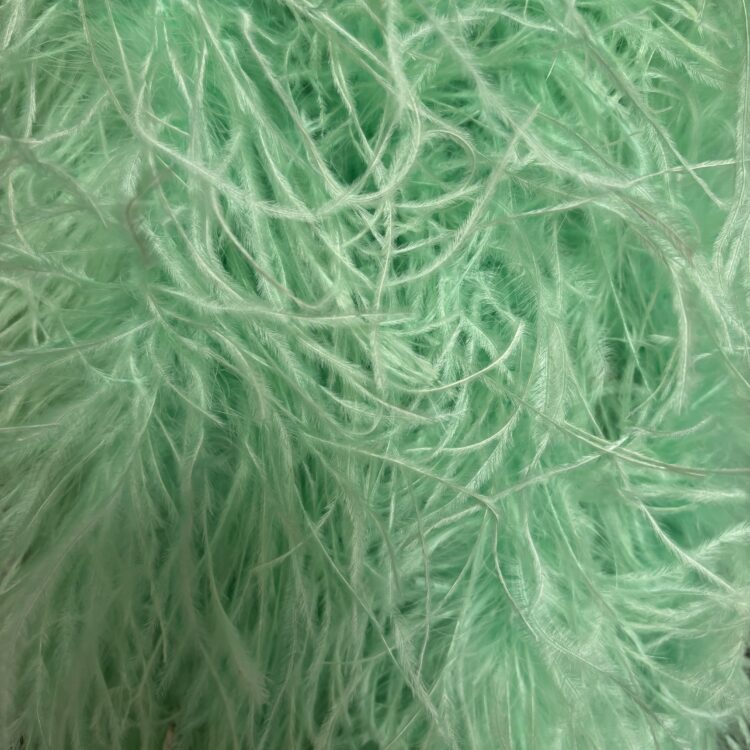 Ostrich Boa (5ply, 15/18cm) - Mint, 1m