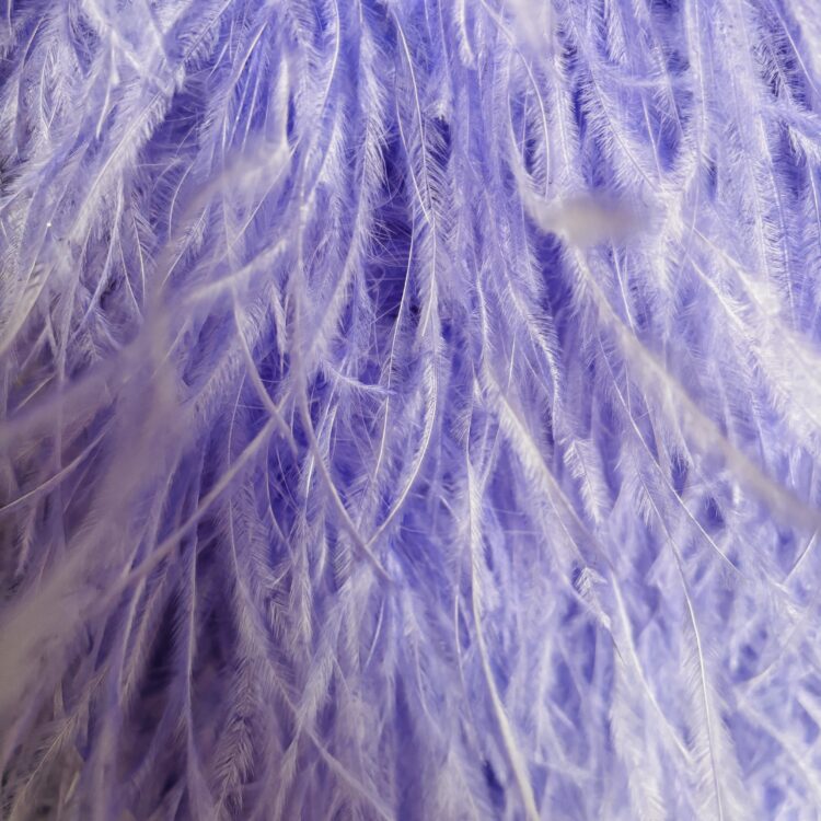 Ostrich Boa (5ply, 15/18cm) - Lilac, 1m