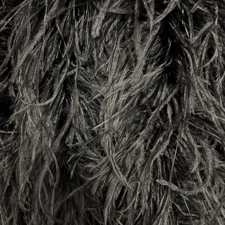 Ostrich Boa (5ply, 15/18cm) - Black, 1m