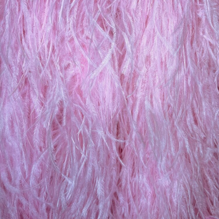 Ostrich Boa (5ply, 15/18cm) - Baby Pink, 1m