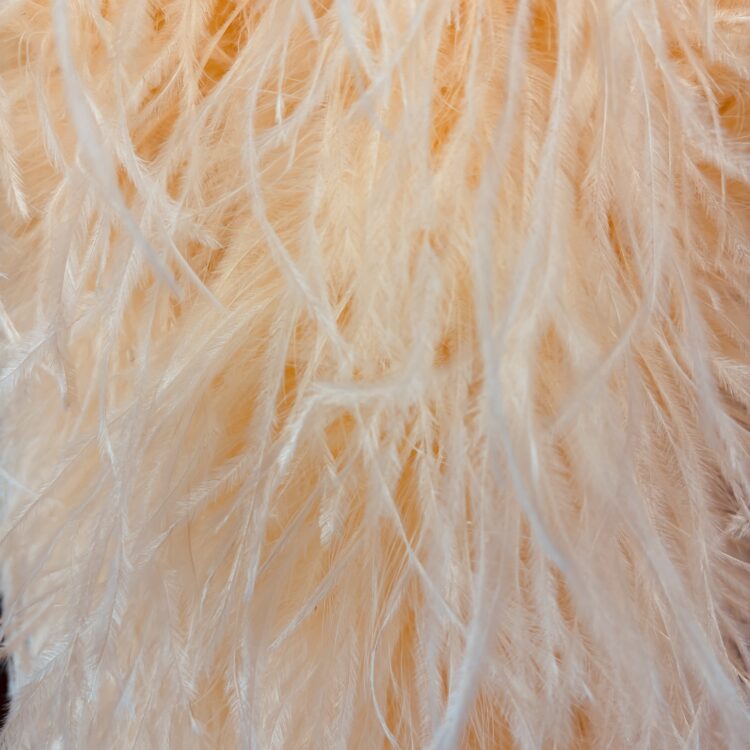 Ostrich Boa (5ply, 15/18cm) - Peach, 1m