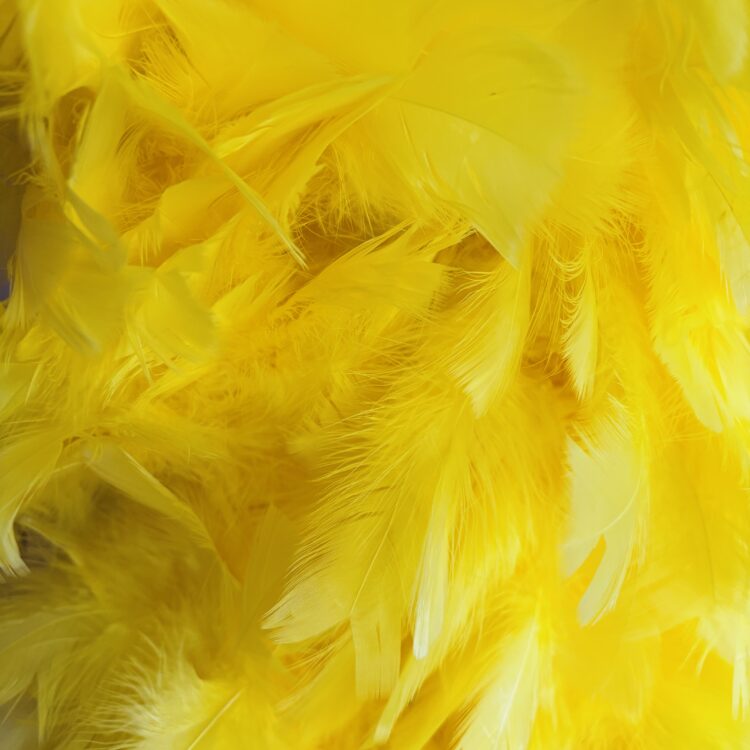 200gsm Turkey feather boa - Yellow, 1 Yard