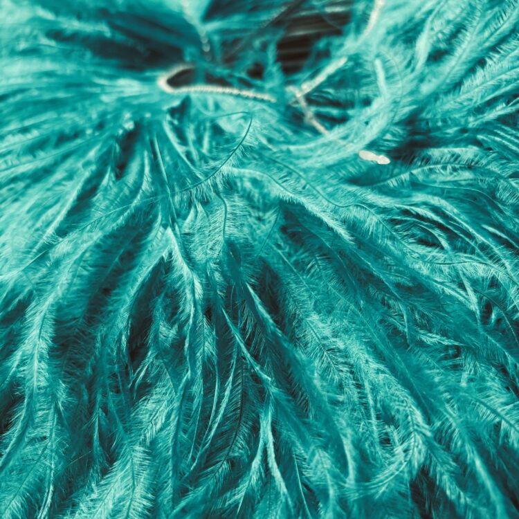 Corded Ostrich (3py, 10/15cm) - Jade 1m