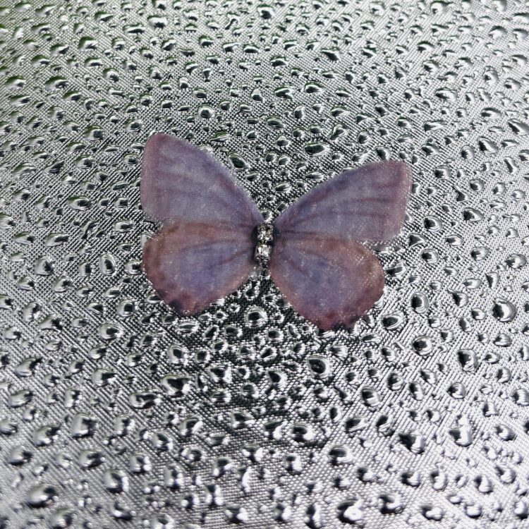 Butterflies number 16