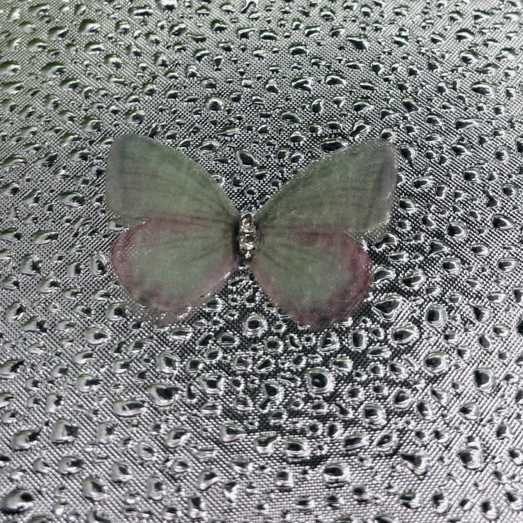 Butterflies number 8