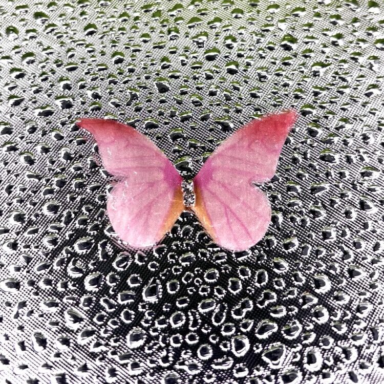 Butterflies  number 1