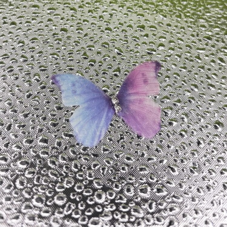 Butterflies number 10