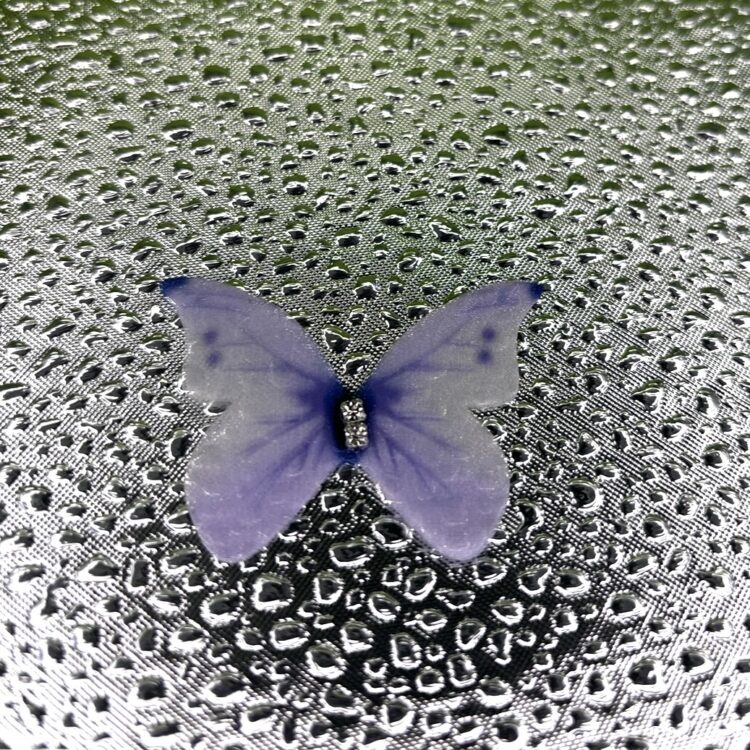 Butterflies number 7