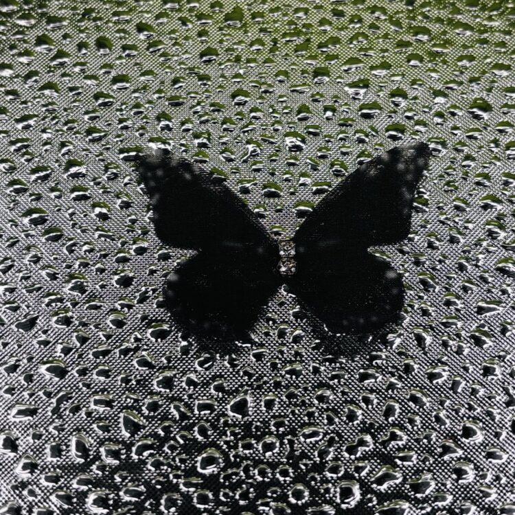 Butterflies number 11