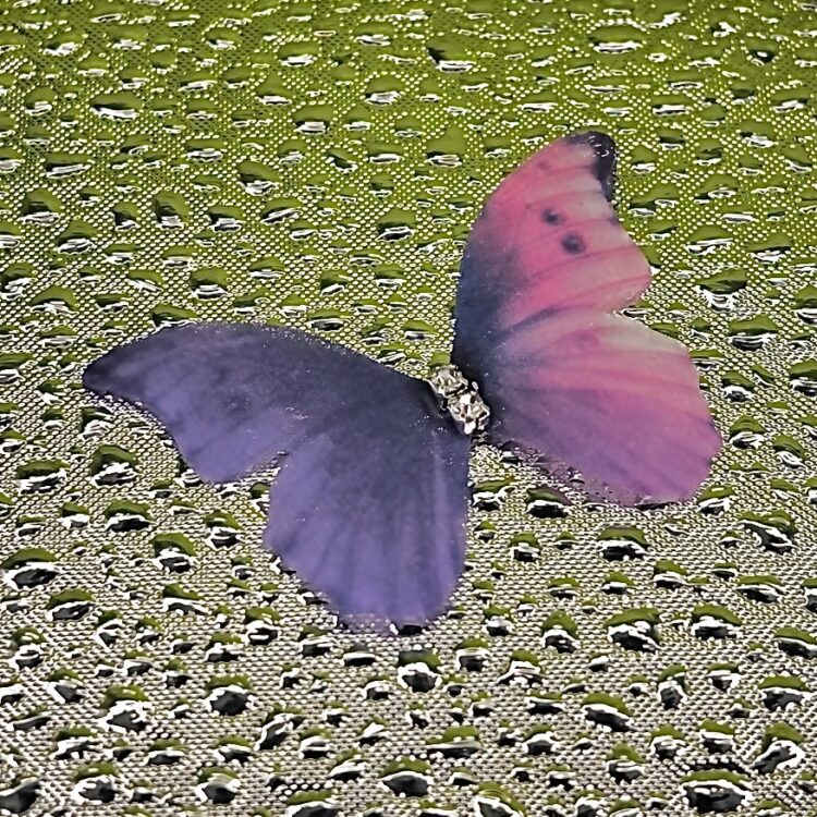 Butterflies number 4