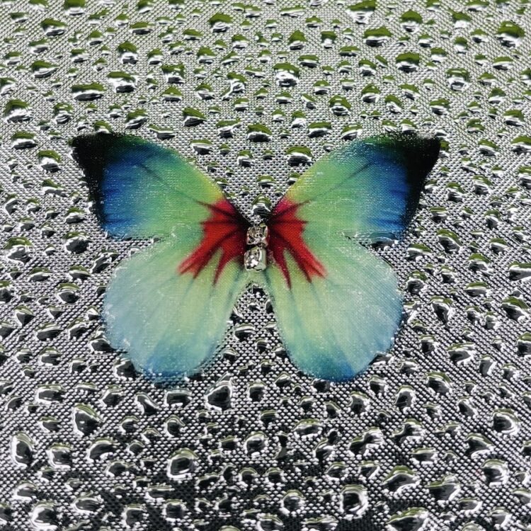 Butterflies number 14