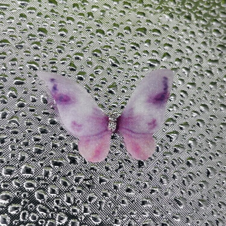 Butterflies number 12