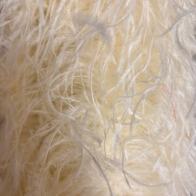 Ostrich Boa 5 ply 15/18cm - Cream, 0.25