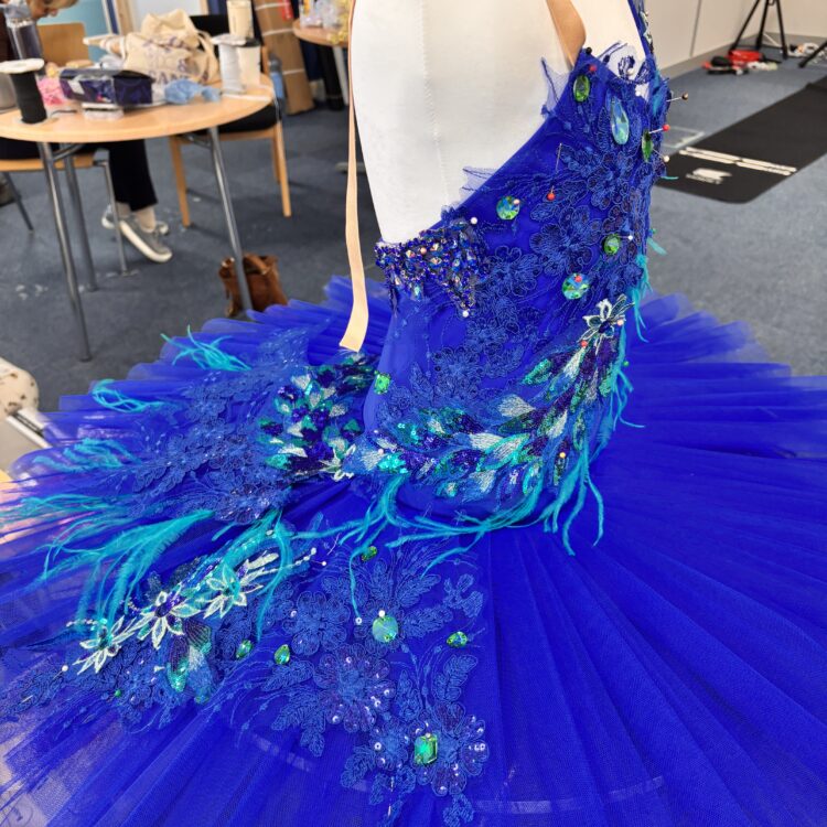 Stretch Tutu Making Class - 4 day course - 5th - 8th November 2026