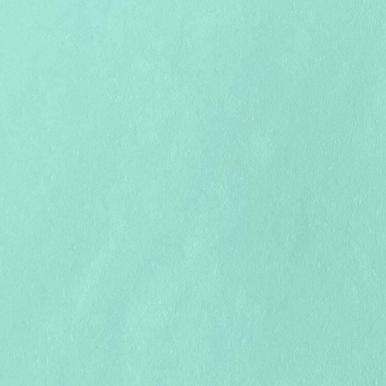 Shiny Lycra - all way stretch - Mint